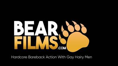 Adam - BEARFILMS Hairy Men Adam Ram And Ale Tedesco Bareback Hard - nvdvid.com